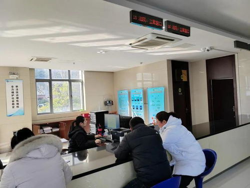 便捷惠民 延伸訴訟服務，啟東法院開通全國戶籍人口信息查詢功能